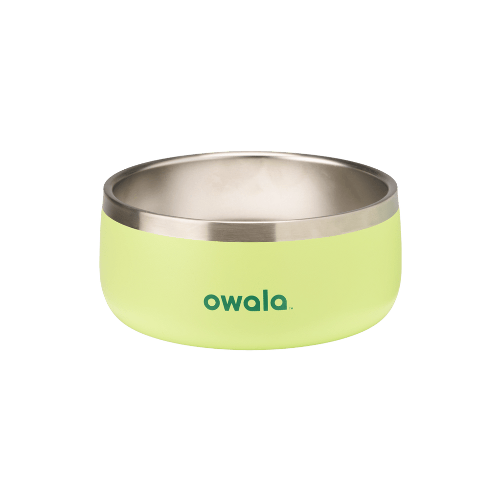 Owala Pet Bowl 3-cup size in bright lime/chartreuse green