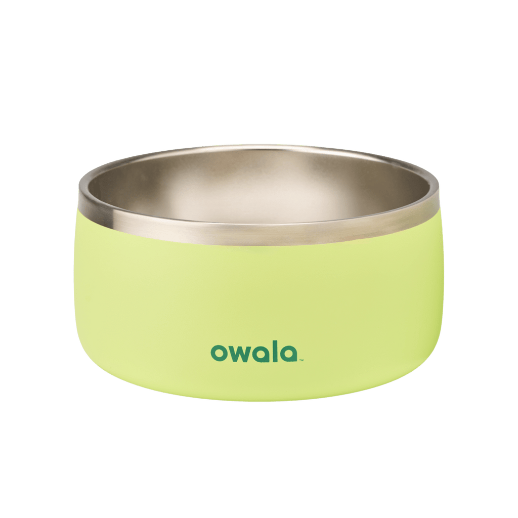 Pet Bowl 6-cup in Sweet Treat; matte lime green cup exterior with stainless steel interior rim and dark green Owala logo on front