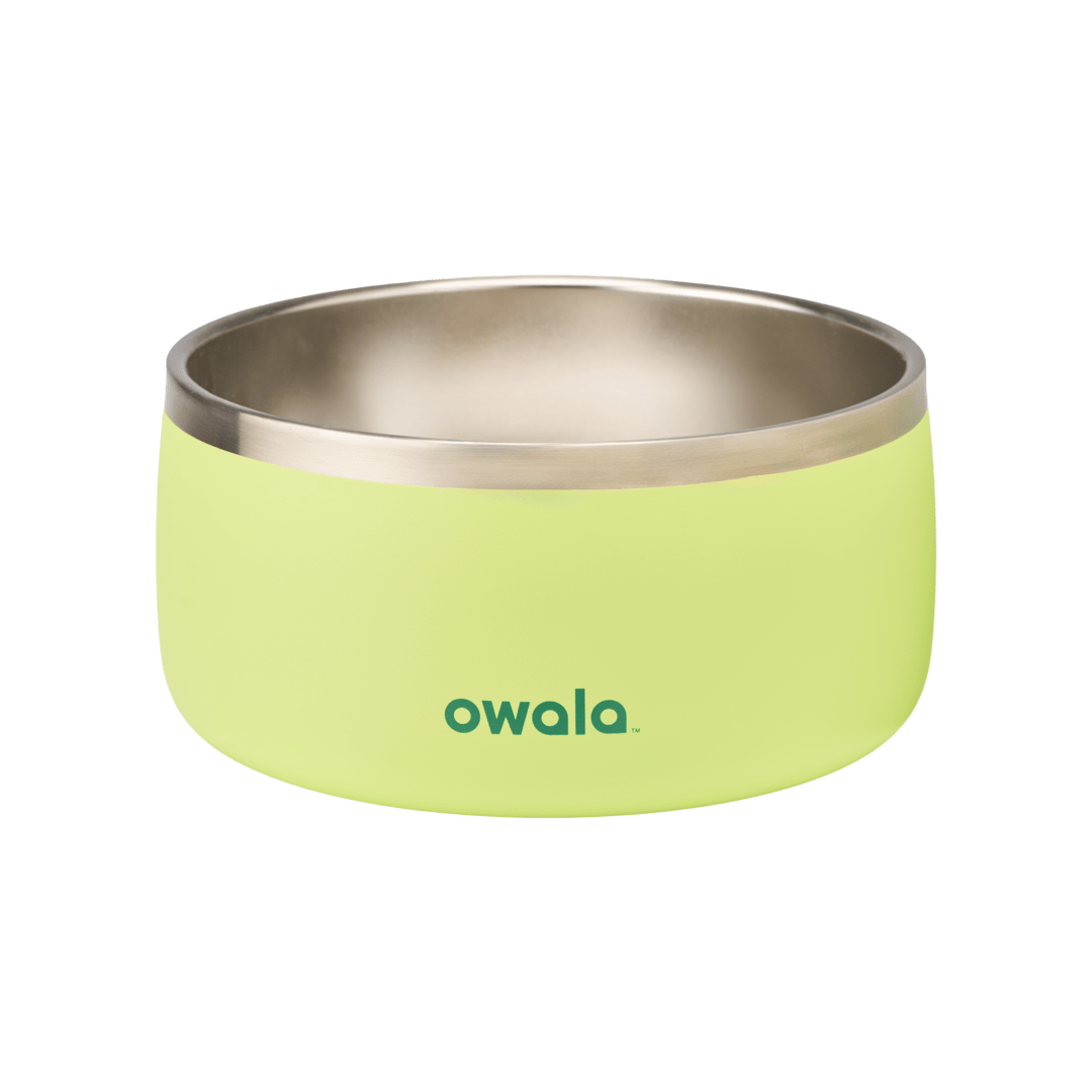 Owala Pet Bowl 6-cup in lime green