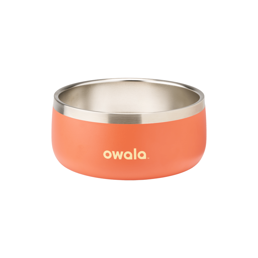 Pet Bowl 3-cup