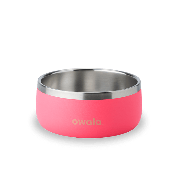 Pet Bowl 24oz Hyper Flamingo